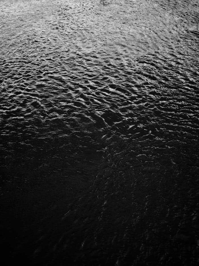 A dramatic black and white textured view of the ocean surface, showcasing rippling waves.